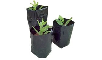 Plant Grow Bags